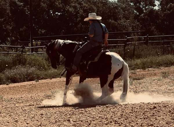 pole-paint-horse