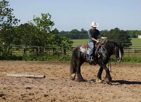 athletic-gypsy-vanner-pony