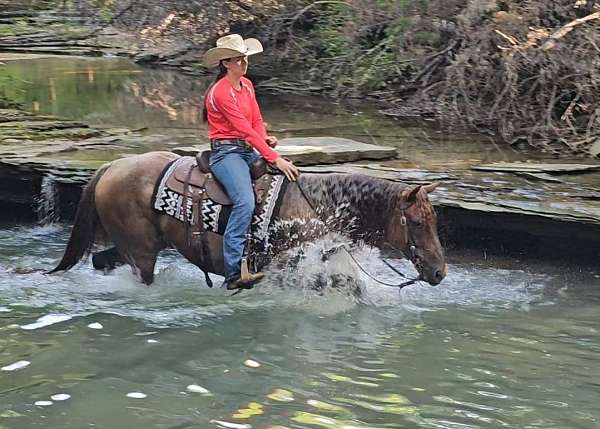 ranch-versatility-quarter-horse