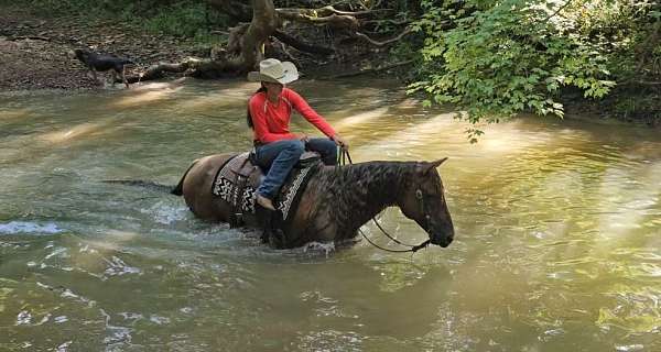 ranch-work-quarter-horse