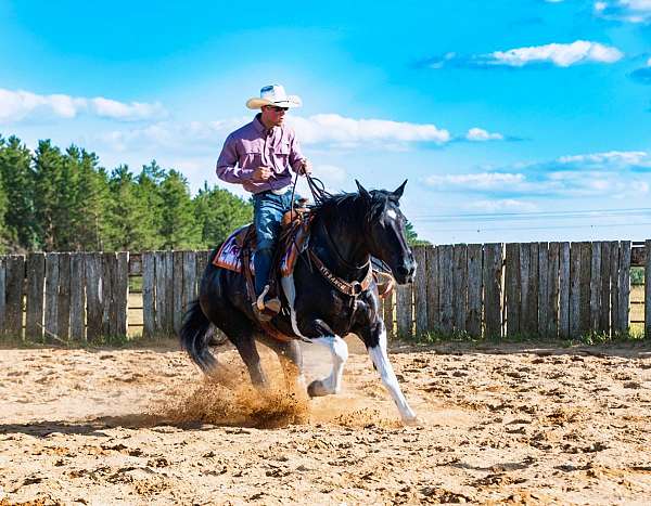 flashy-draft-horse