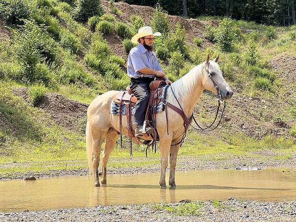 family-quarter-horse