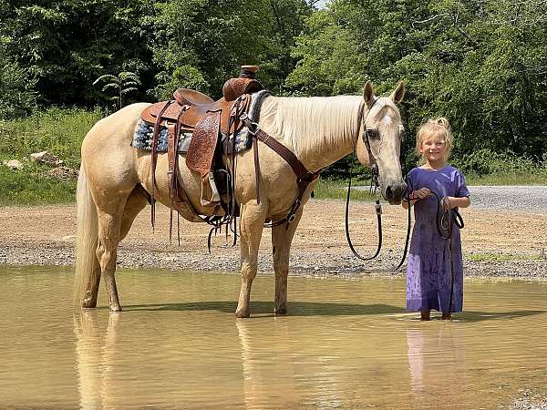 all-around-quarter-horse