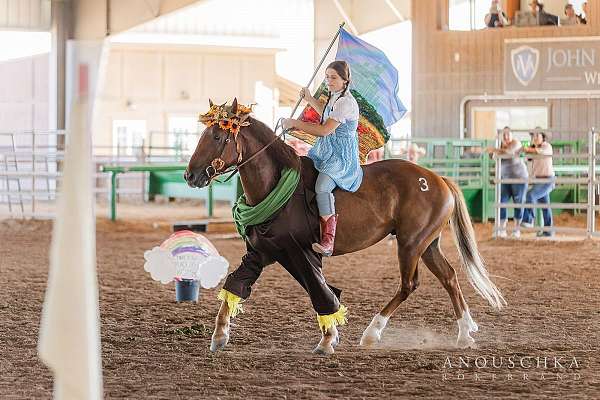 easy-going-mustang-horse