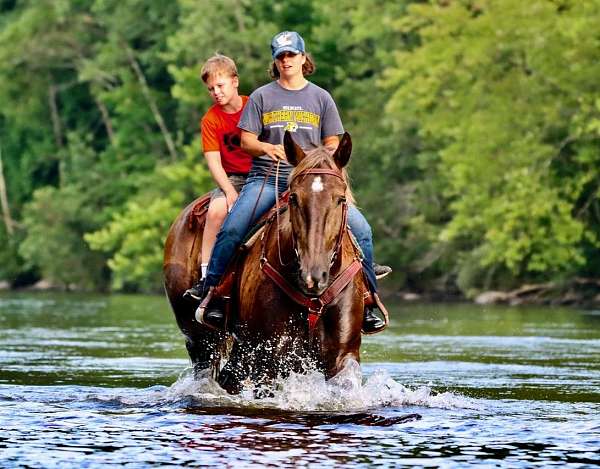 gentle-percheron-pony