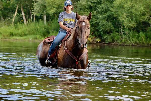 ridden-western-percheron-pony