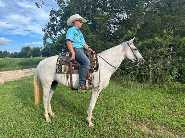 ridden-western-quarter-horse