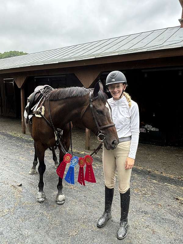 equitation-thoroughbred-pony