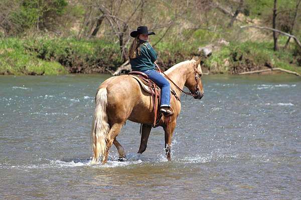 gentle-quarter-horse