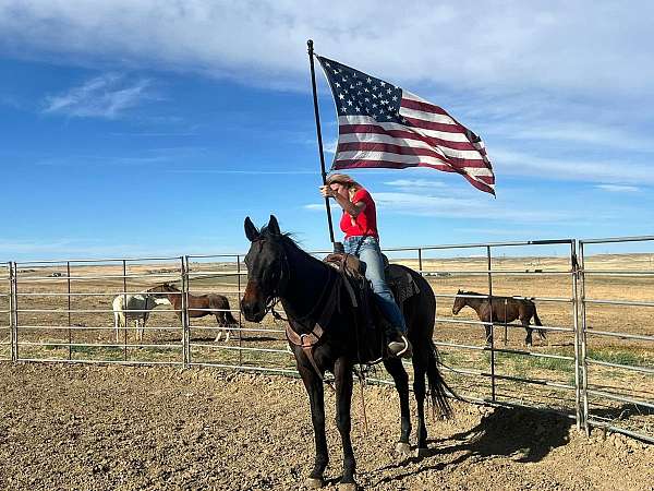 gentle-thoroughbred-horse