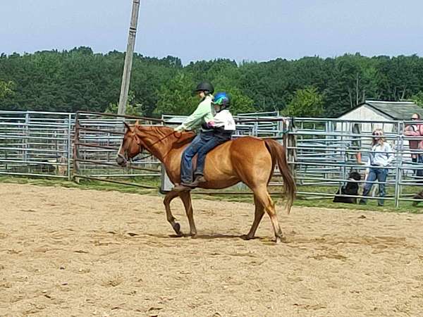 chestnut-heading-pony