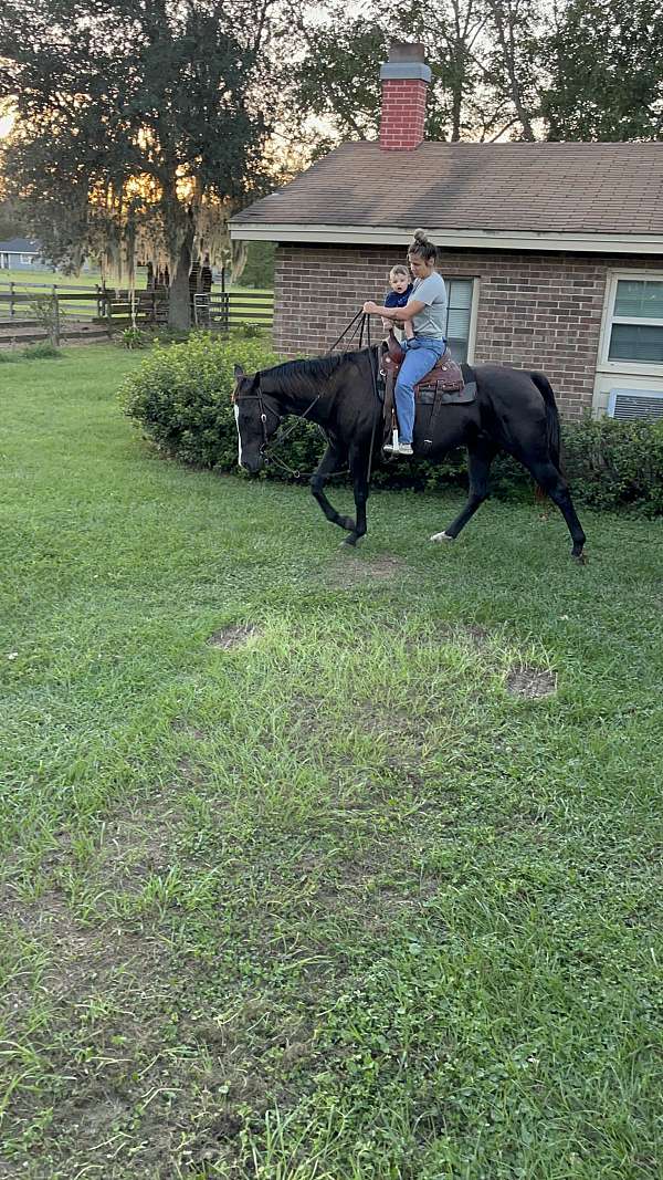 barrel-racing-quarter-horse