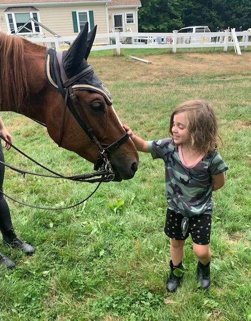 hunter-under-saddle-saddlebred-horse