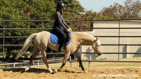 palomino-roan-pony