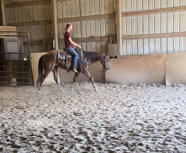 barrel-racing-quarter-pony