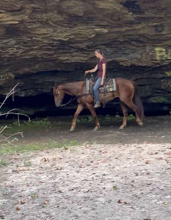 heading-quarter-pony