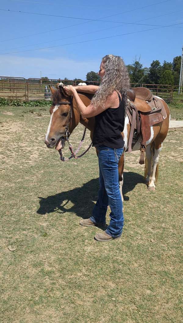 draft-haflinger-pony