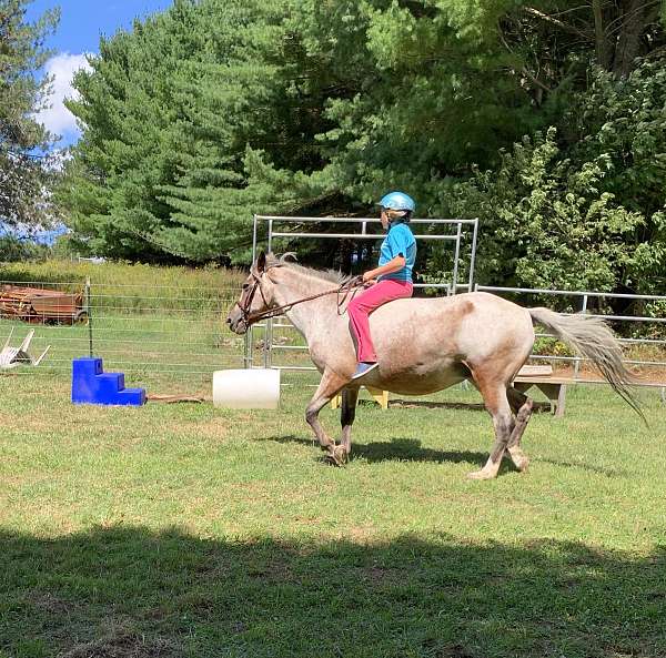 3-small-socks-good-feet-pony