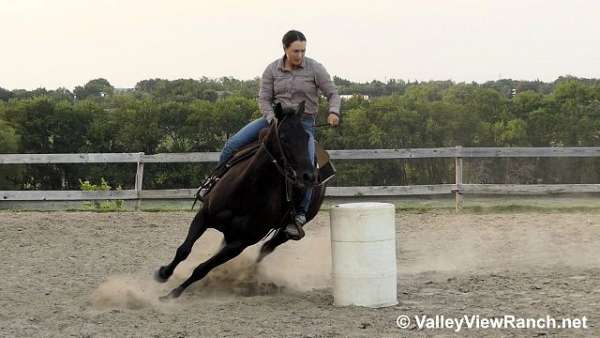 trail-riding-quarter-horse