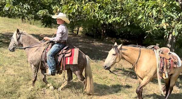 trail-pony