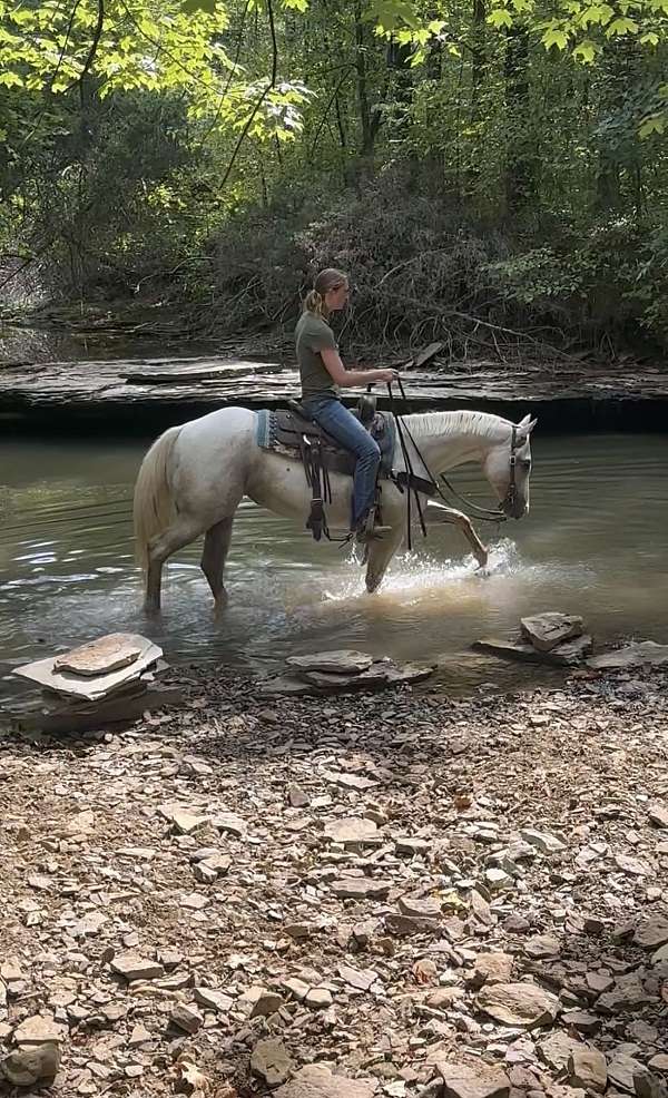 leopard-horse