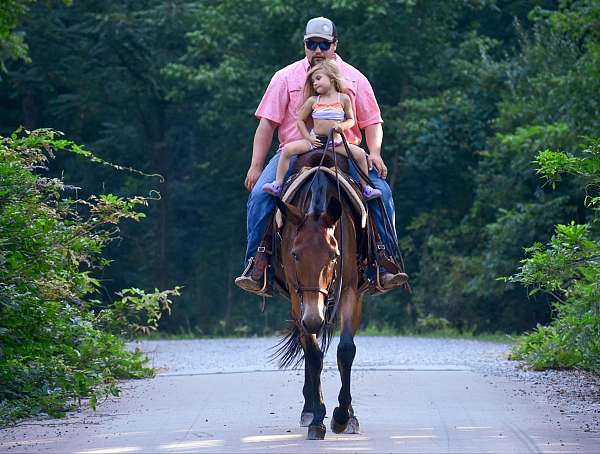 flashy-quarter-horse