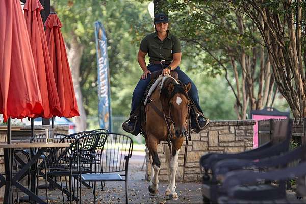 kid-safe-quarter-horse