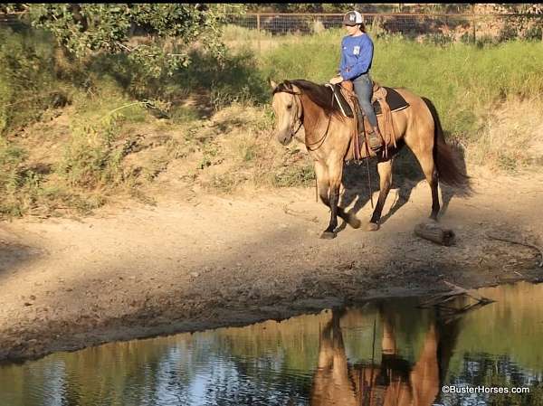 ranch-work-quarter-horse