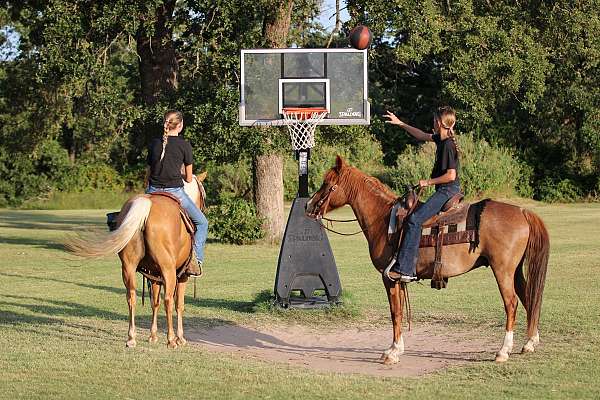 flashy-quarter-horse