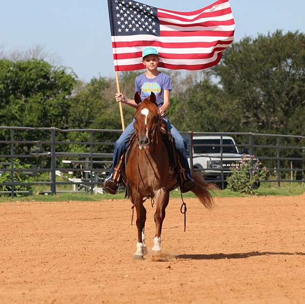 ranch-quarter-horse