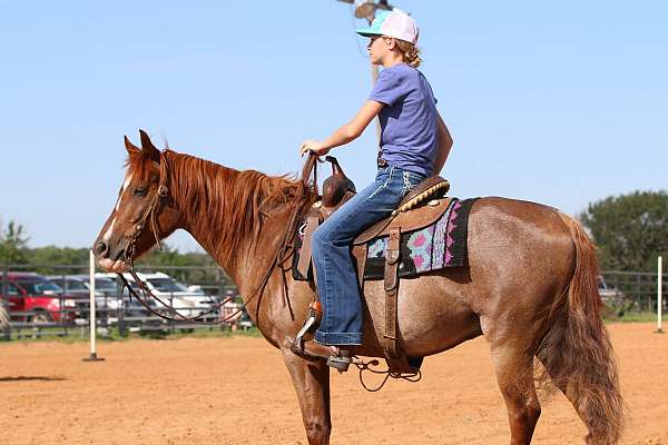 ranch-versatility-quarter-horse