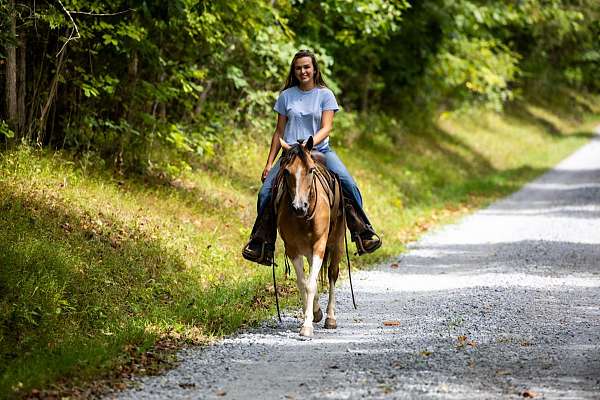 ranch-work-quarter-horse