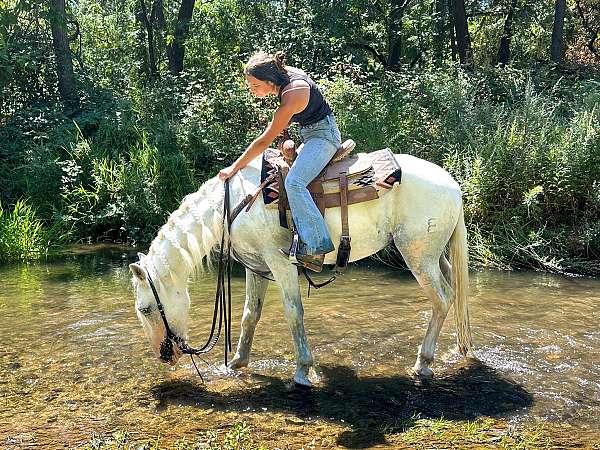 ranch-andalusian-horse