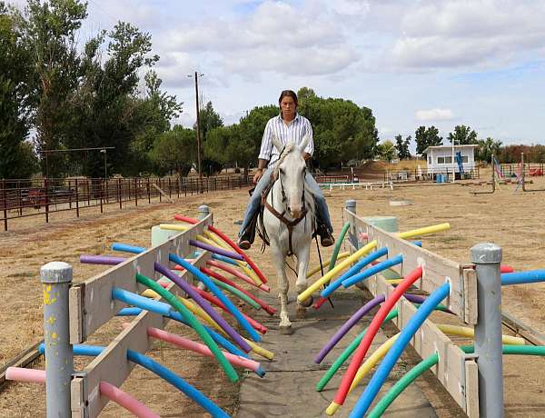 western-andalusian-horse