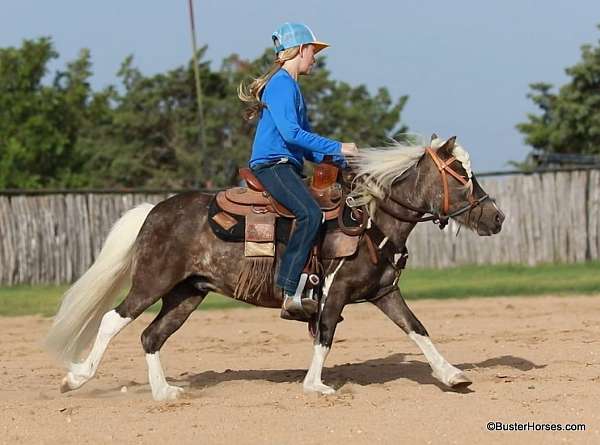 silb-all-around-pony