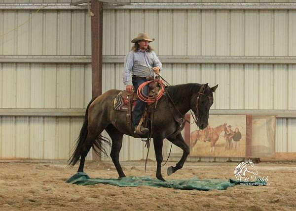 cowboy-mounted-shooting-quarter-horse