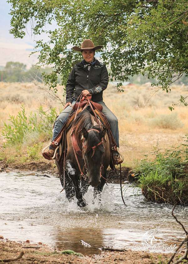 ranch-work-quarter-horse