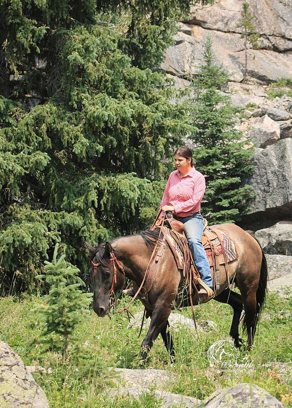 western-riding-quarter-horse