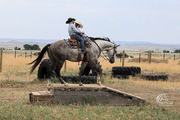 ranch-versatility-quarter-horse