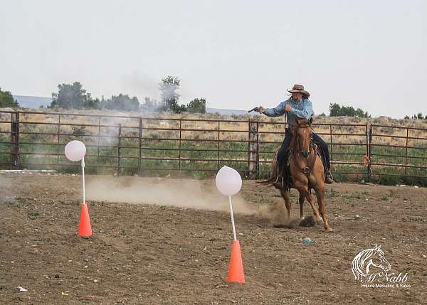 ranch-versatility-quarter-horse