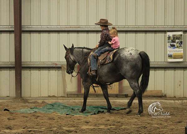 ranch-work-quarter-horse