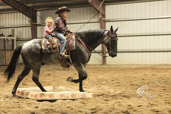 ranch-versatility-quarter-horse