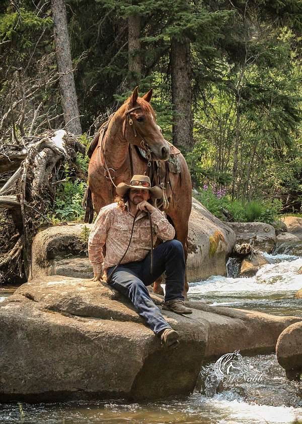 cowboy-mounted-shooting-quarter-pony