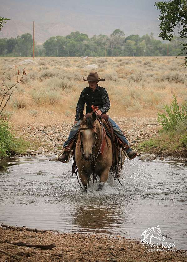 ranch-work-quarter-horse