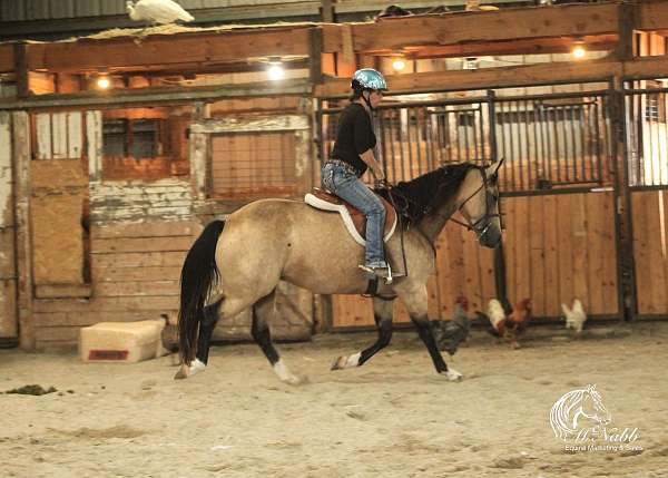 roping-quarter-horse