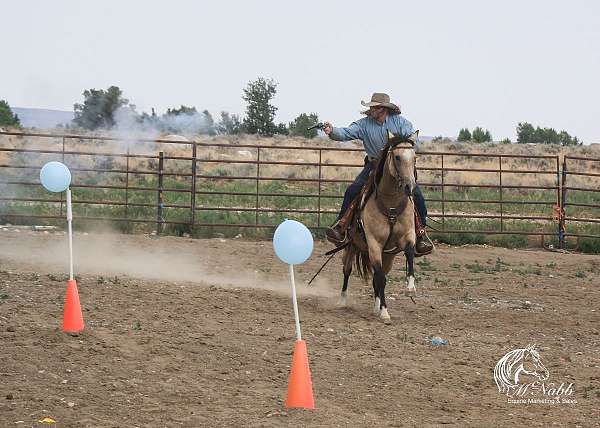 cowboy-mounted-shooting-quarter-horse