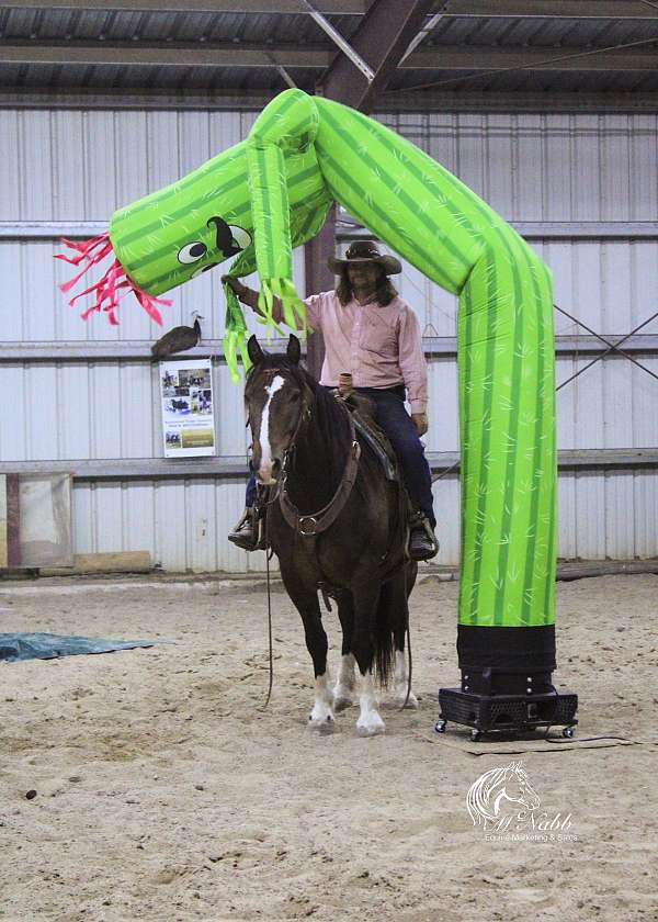 parade-draft-horse