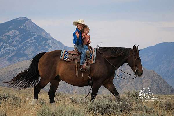 ranch-work-draft-horse