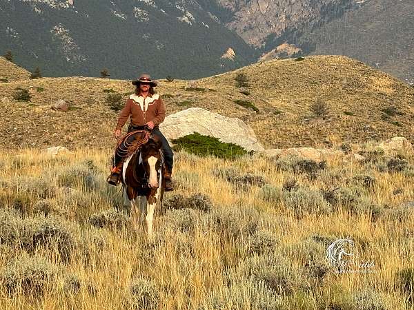 cowboy-mounted-shooting-paint-horse