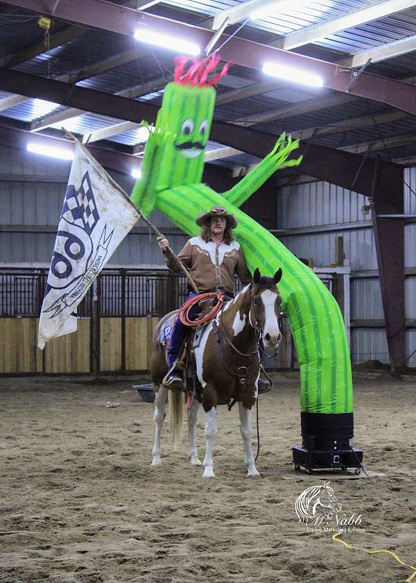 ranch-versatility-paint-horse